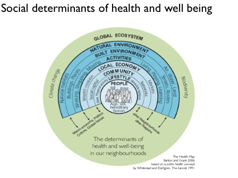 Social Determinants of health and well being