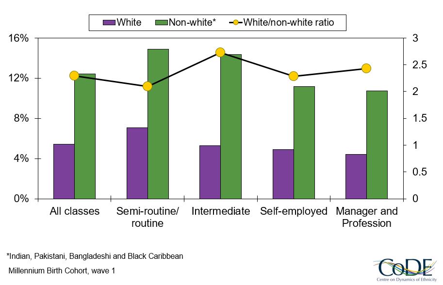 Low birth weight by occupational class