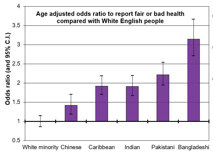 Ethnic Minority health