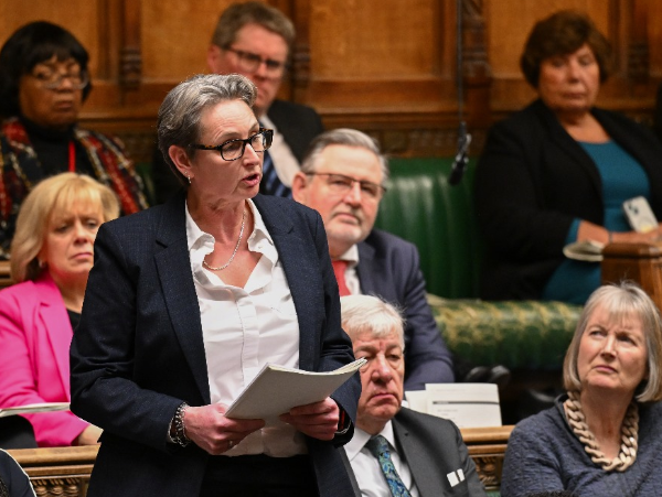 On Women’s Inequality in Healthcare