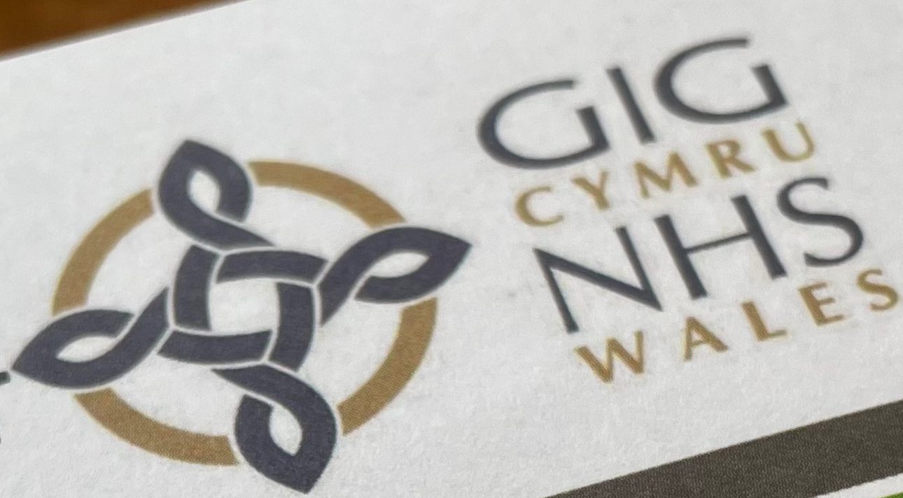 THE WELSH MUTUAL INVESTMENT MODEL  — A PRINCIPLED OR PRAGMATIC OPTION?